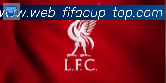 FIFA世界杯直播官方网站合作伙伴